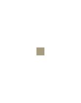 Гранит керамический L4401-1Ch Beige - Loose (TopCer) Португалия 10х10