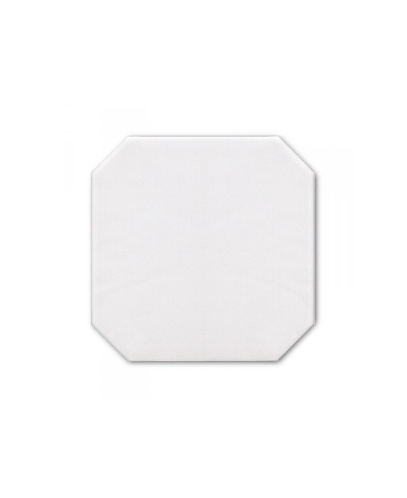 Гранит керамический OCTAGON White Matt (EQUIPE) Испания 20x20