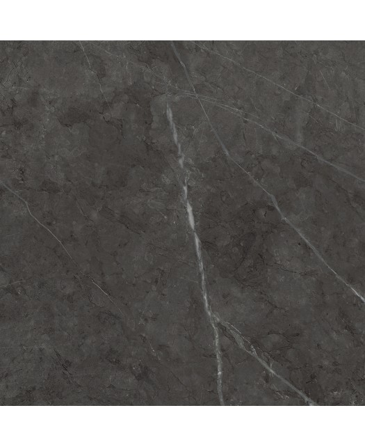 Керамический гранит Charme Evo Floor Project Antracite ЛЮКС (Italon) Россия 59х59