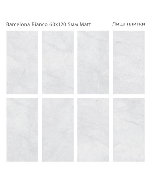 Керамогранит BARCELONA BIANCO MATT (STARO) Индия 60х120