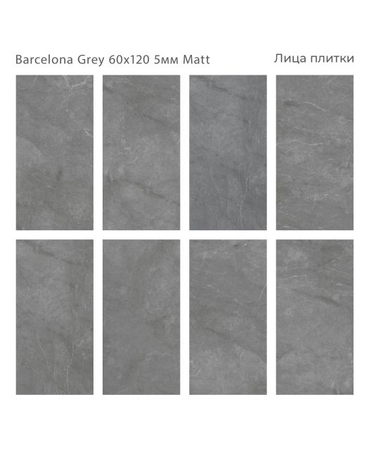 Керамогранит BARCELONA GREY MATT (STARO) Индия 60х120