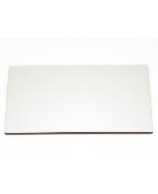 Настенная плитка Liso Blanco Mate (Dar Ceramics) Испания 10x20