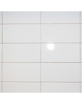 Настенная плитка Liso Blanco Brillo (Dar Ceramics) Испания 10x20